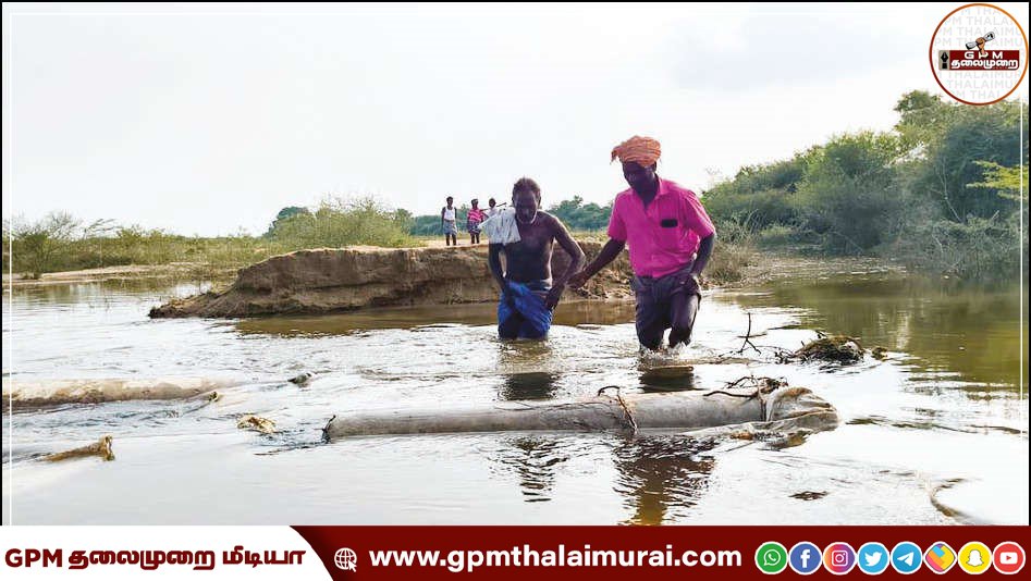 ஆவுடையார்கோவில் அருகே கண்மாயில் உடைப்பு: அறுவடைக்கு தயாரான நெற்பயிர்களை கரை சேர்ப்பதில் சிக்கல் பாலம் அமைத்து தர கோரிக்கை