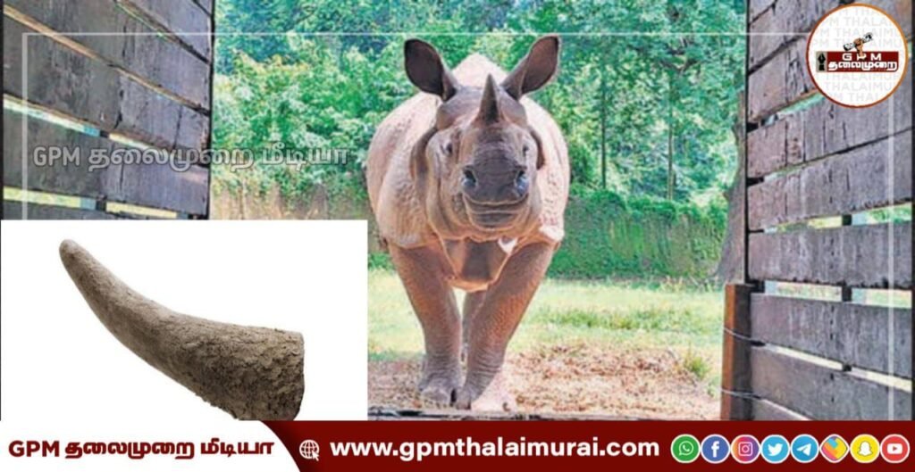 டெல்லியில் ரூ 3 கோடி மதிப்புள்ள காண்டாமிருக கொம்புகள் கடத்தியவர்கள் பிடிப்பட்டனர்