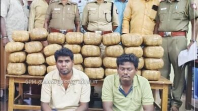 ஆந்திராவில் இருந்து மீமிசல் வழியாக இலங்கைக்கு கடத்த முயன்ற 100 கிலோ கஞ்சா பறிமுதல் – இருவர் கைது.