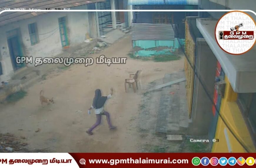 கோபாலப்பட்டினத்தில் தெருவில் தனியாக நடந்து சென்ற சிறுமியை துரத்திக் கடிக்க வந்த தெரு நாய்!