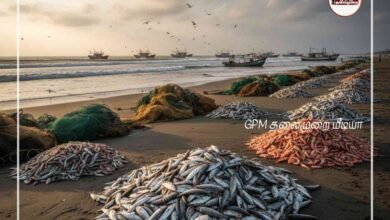 கோட்டைப்பட்டினம், ஜெகதாப்பட்டினம் பகுதிகளில் விசைப்படகில் மடிவலை பயன்படுத்துவதால் கடல்வளம் அழியும் அபாயம்; உடனடியாக தீர்வு காண நாட்டுப்படகு மீனவர்கள் வலியுறுத்தல்.