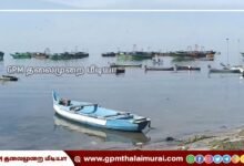 மீன்வளத்துறை அதிகாரிகள் ஒருதலைப்பட்சமாக செயல்படுவதாக குற்றச்சாட்டு: கோட்டைப்பட்டினம் விசைப்படகு மீனவர்கள் காலவரையற்ற வேலைநிறுத்தம்!